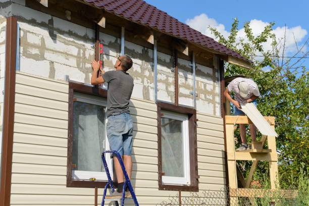 Best Steel Siding Installation  in Ringgold, GA